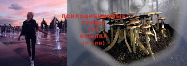 спиды Алексин