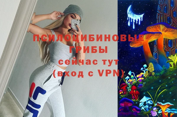 СК Алексеевка